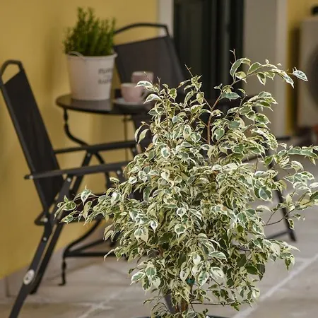 16 Lejlighed Corfu (city)